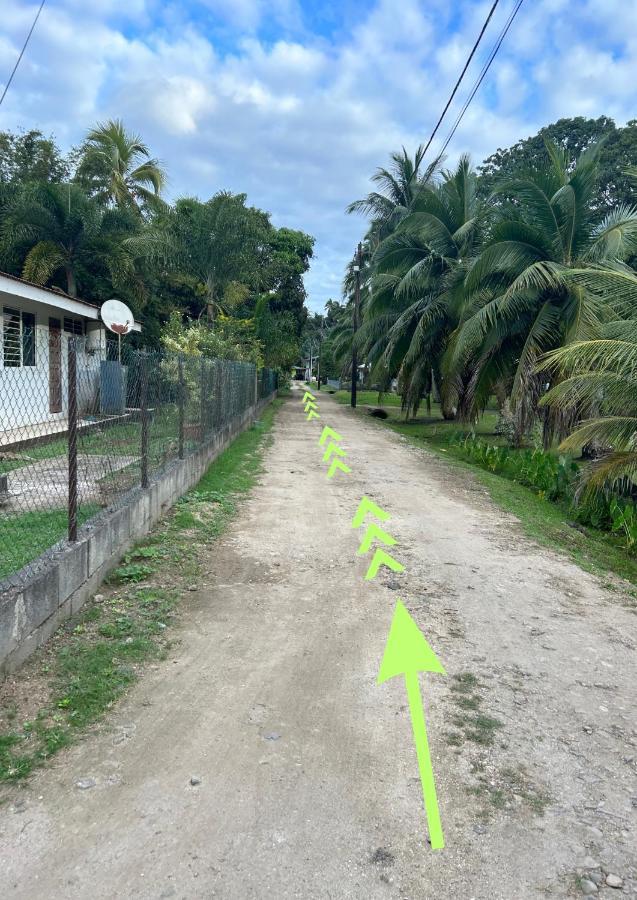 Mooz Lodge, The Local Discovery Afareaitu Eksteriør bilde